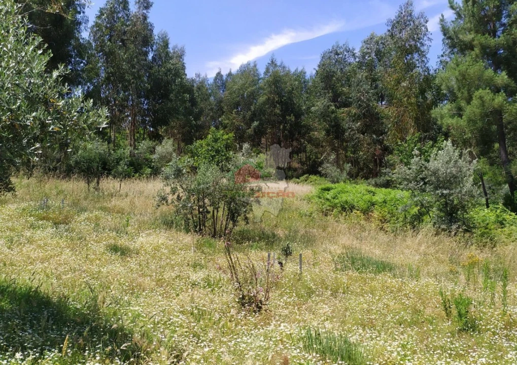 Terreno para Venda em Portela do Fojo-Machio Foto 12