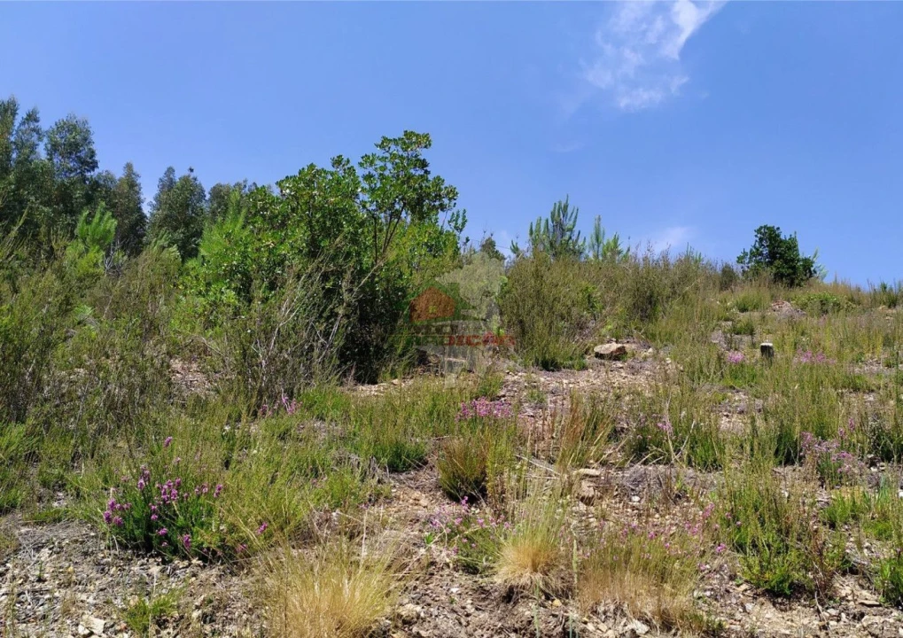 Terreno para Venda em Portela do Fojo-Machio Foto 7