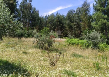 Terreno para Venda em Portela do Fojo-Machio