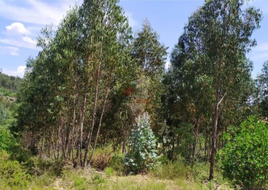 Terreno para Venda em Portela do Fojo-Machio