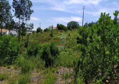 Terreno para Venda em Portela do Fojo-Machio