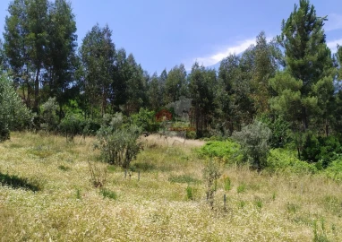 Terreno para Venda em Portela do Fojo-Machio