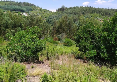 Terreno para Venda em Portela do Fojo-Machio