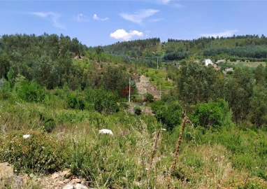 Terreno para Venda em Portela do Fojo-Machio