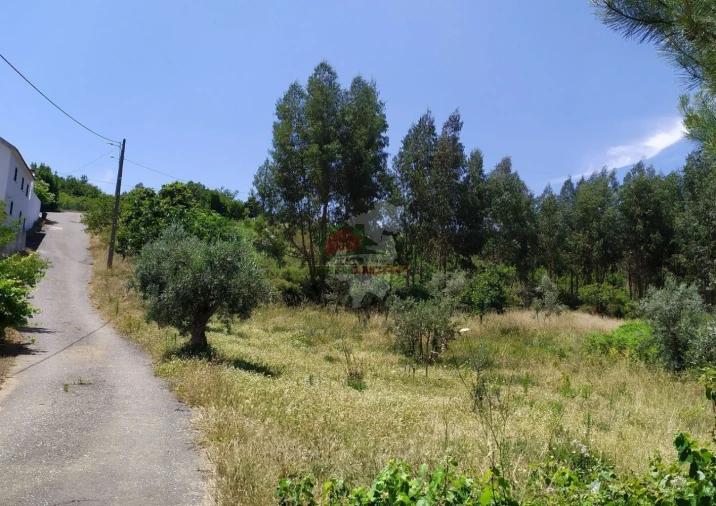 Terreno para Venda em Portela do Fojo-Machio Foto 9