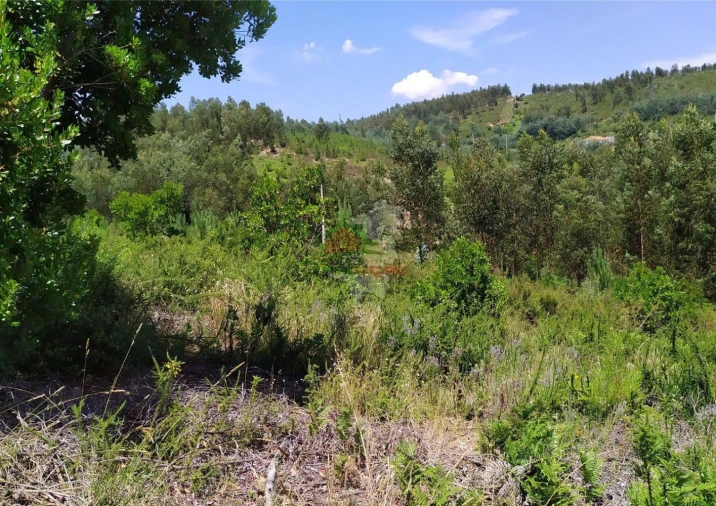 Terreno para Venda em Portela do Fojo-Machio Foto 4
