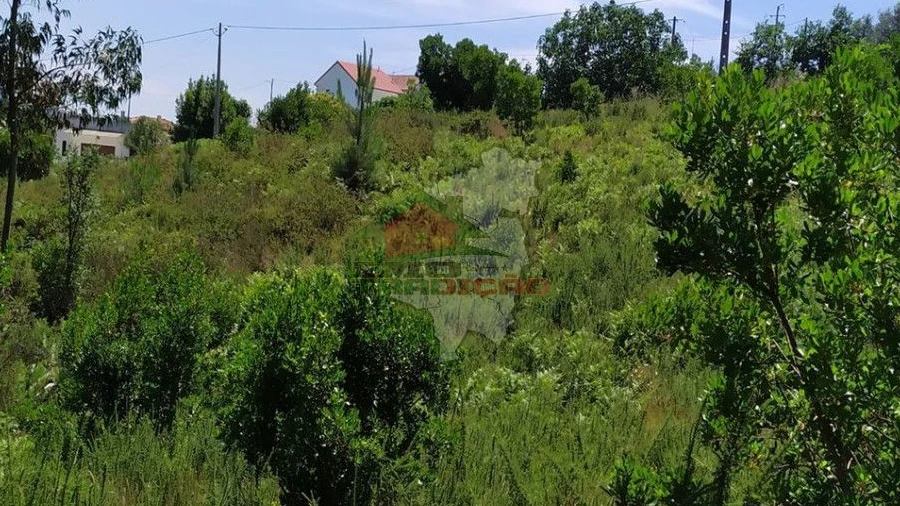 Terreno para Venda em Portela do Fojo-Machio