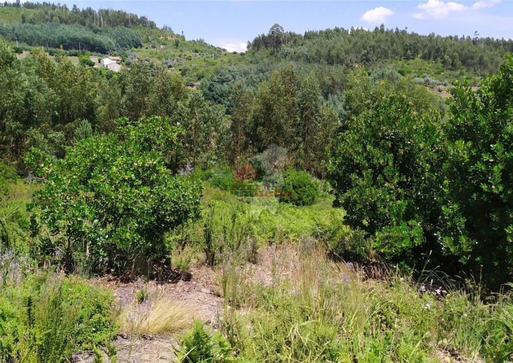 Terreno para Venda em Portela do Fojo-Machio Foto 6