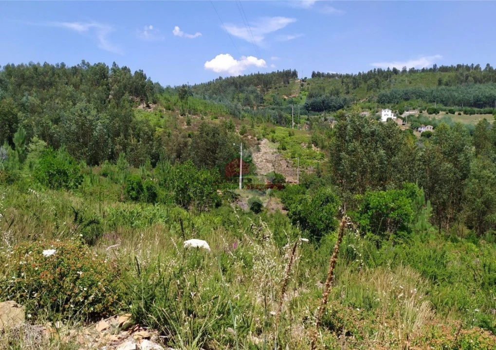 Terreno para Venda em Portela do Fojo-Machio Foto 3