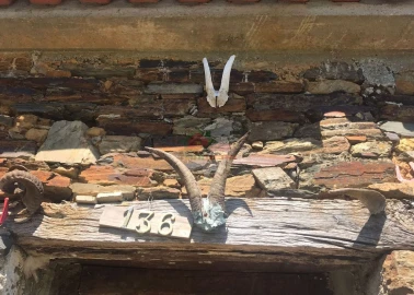 Quinta T5 para Venda em Castelo