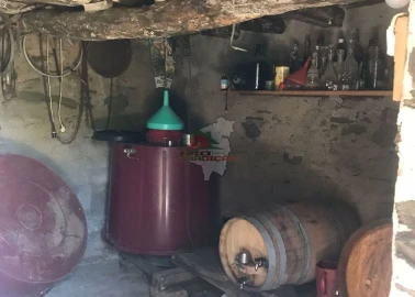 Quinta T5 para Venda em Castelo