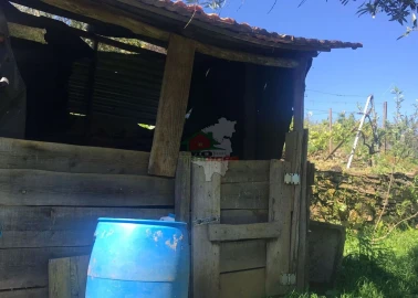 Quinta T5 para Venda em Castelo
