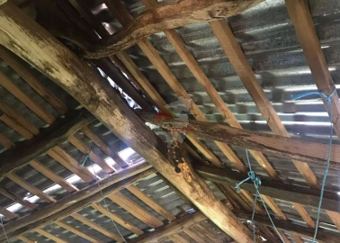 Quinta T5 para Venda em Castelo