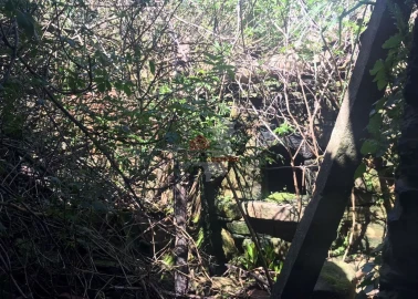 Quinta T5 para Venda em Castelo