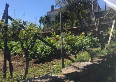 Quinta T5 para Venda em Castelo