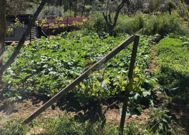 Quinta T5 para Venda em Castelo