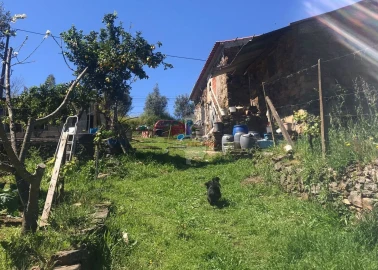 Quinta T5 para Venda em Castelo