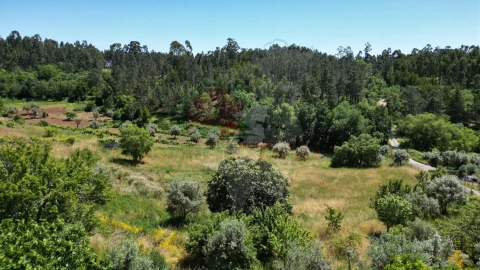 Quinta T3 para Venda em Castelo