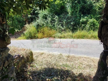 Quinta T3 para Venda em Castelo