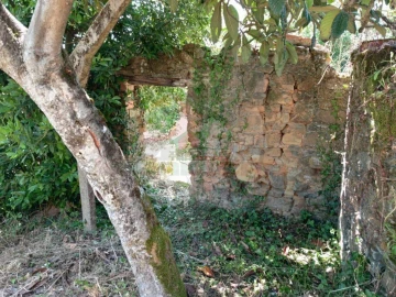 Quinta T3 para Venda em Castelo