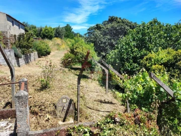 Quinta T3 para Venda em Castelo