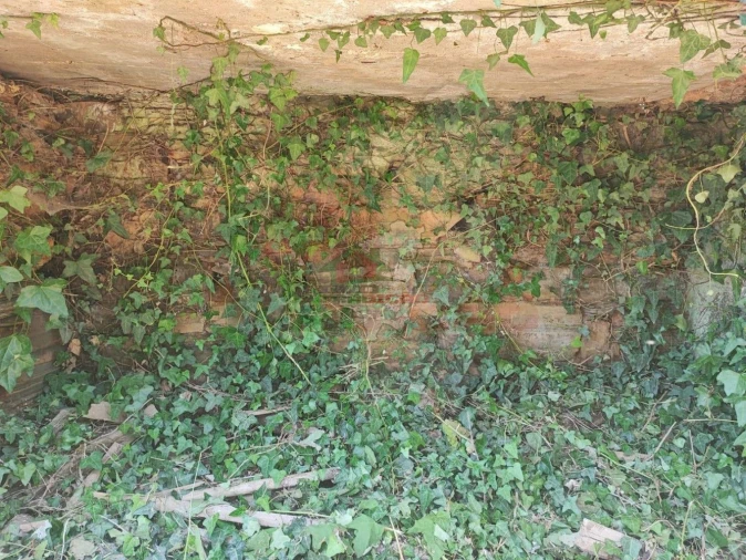 Quinta T3 para Venda em Castelo Foto 24