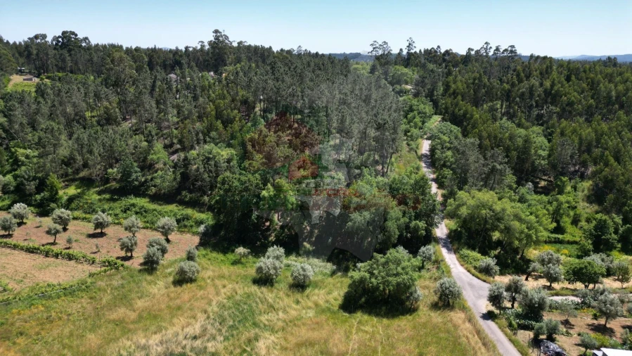 Quinta T3 para Venda em Castelo Foto 28