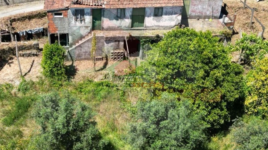 Quinta T3 para Venda em Castelo