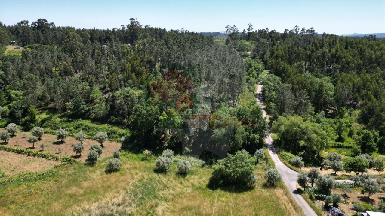 Quinta T3 para Venda em Castelo Foto 28