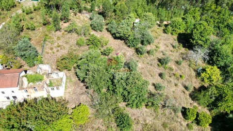 Quinta T1 para Venda em Castelo