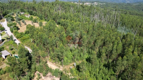 Quinta T1 para Venda em Castelo