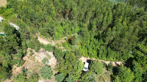 Quinta T1 para Venda em Castelo