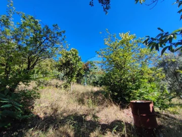 Quinta T1 para Venda em Castelo