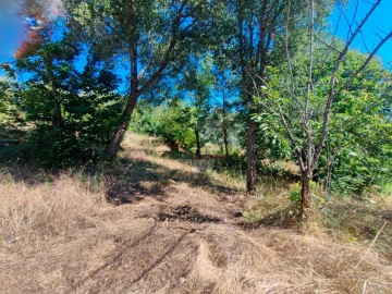 Quinta T1 para Venda em Castelo