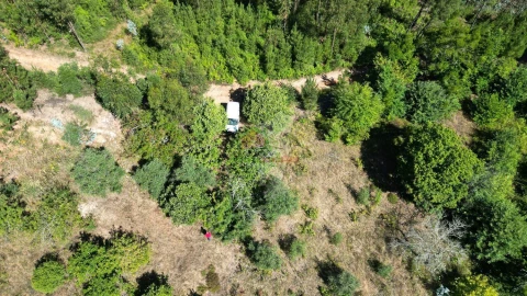 Quinta T1 para Venda em Castelo