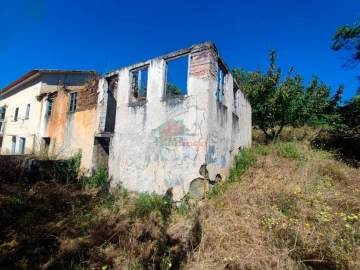 Quinta T1 para Venda em Castelo