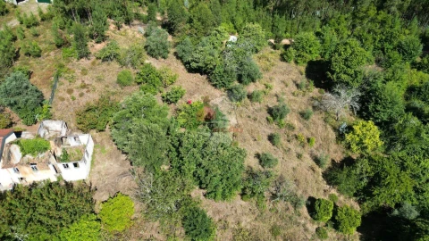 Quinta T1 para Venda em Castelo