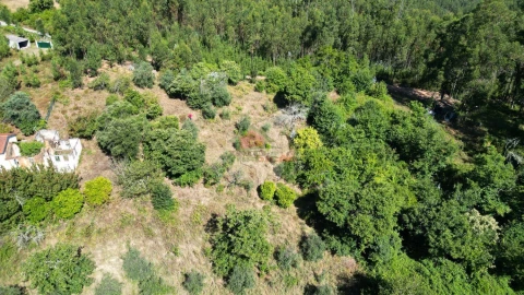 Quinta T1 para Venda em Castelo