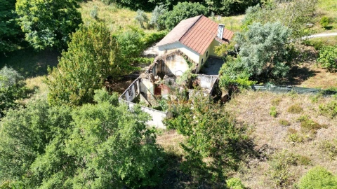Quinta T1 para Venda em Castelo