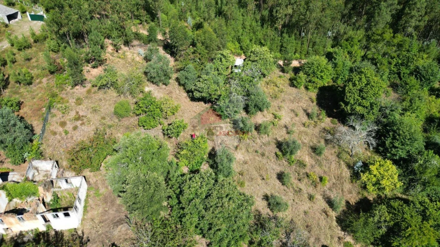 Quinta T1 para Venda em Castelo Foto 13