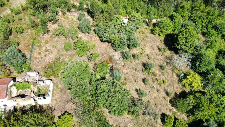 Quinta T1 para Venda em Castelo Foto 14