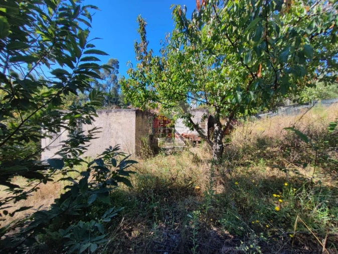 Quinta T1 para Venda em Castelo Foto 4