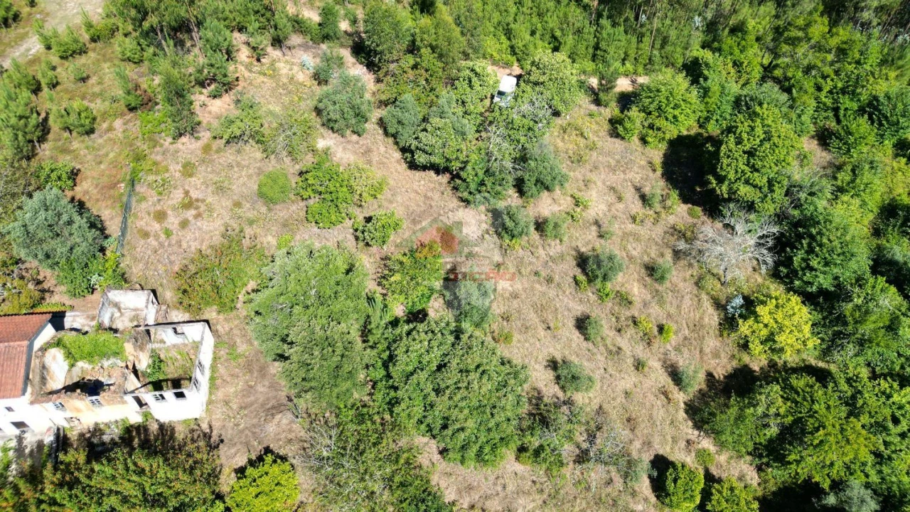 Quinta T1 para Venda em Castelo Foto 14