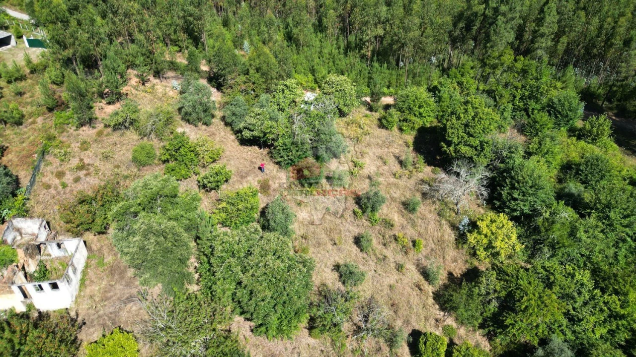 Quinta T1 para Venda em Castelo Foto 10