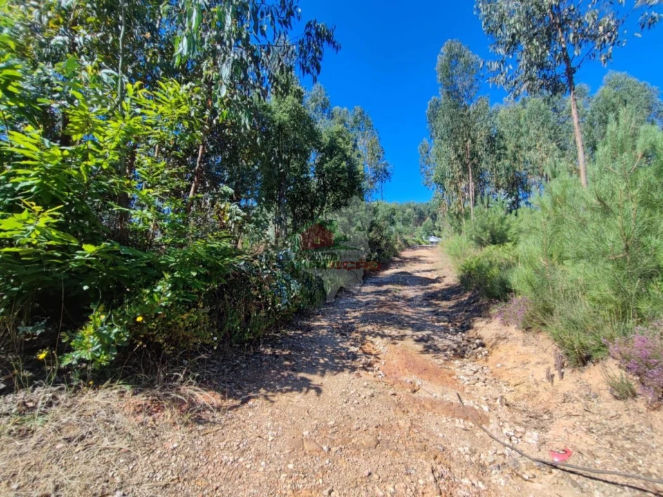 Quinta T1 para Venda em Castelo Foto 3