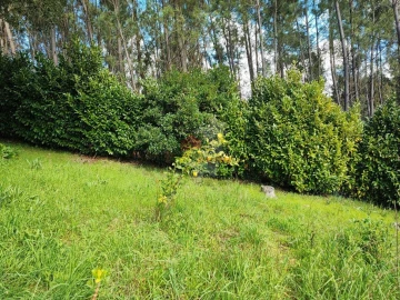 Moradia T4 para Venda em Sertã