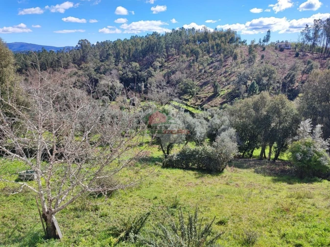 Moradia T4 para Venda em Sertã Foto 10