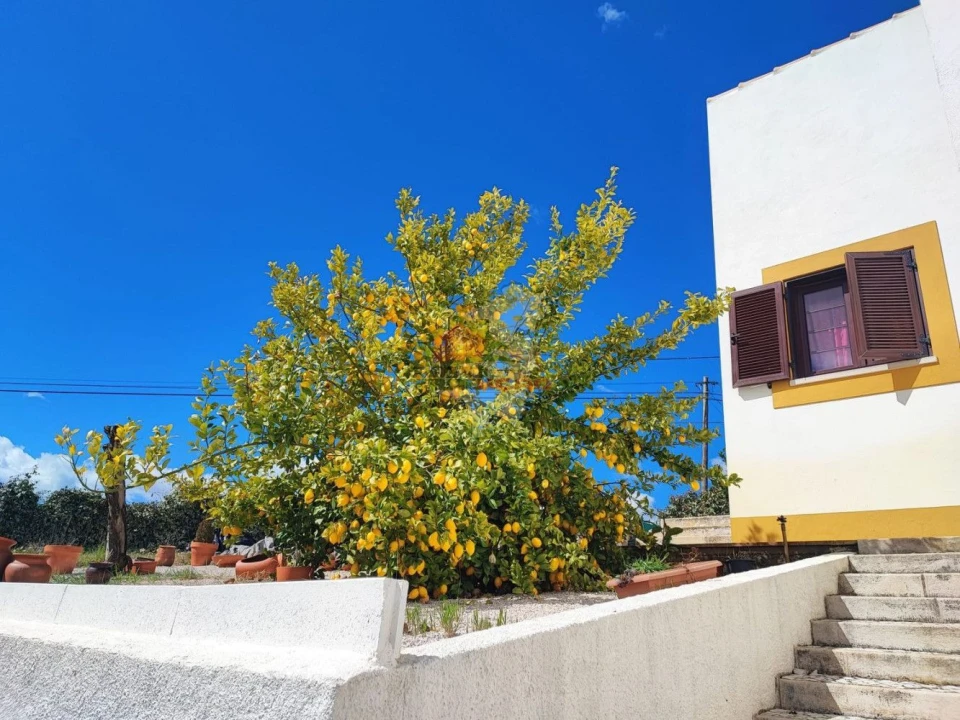 Moradia T4 para Venda em Sertã Foto 47