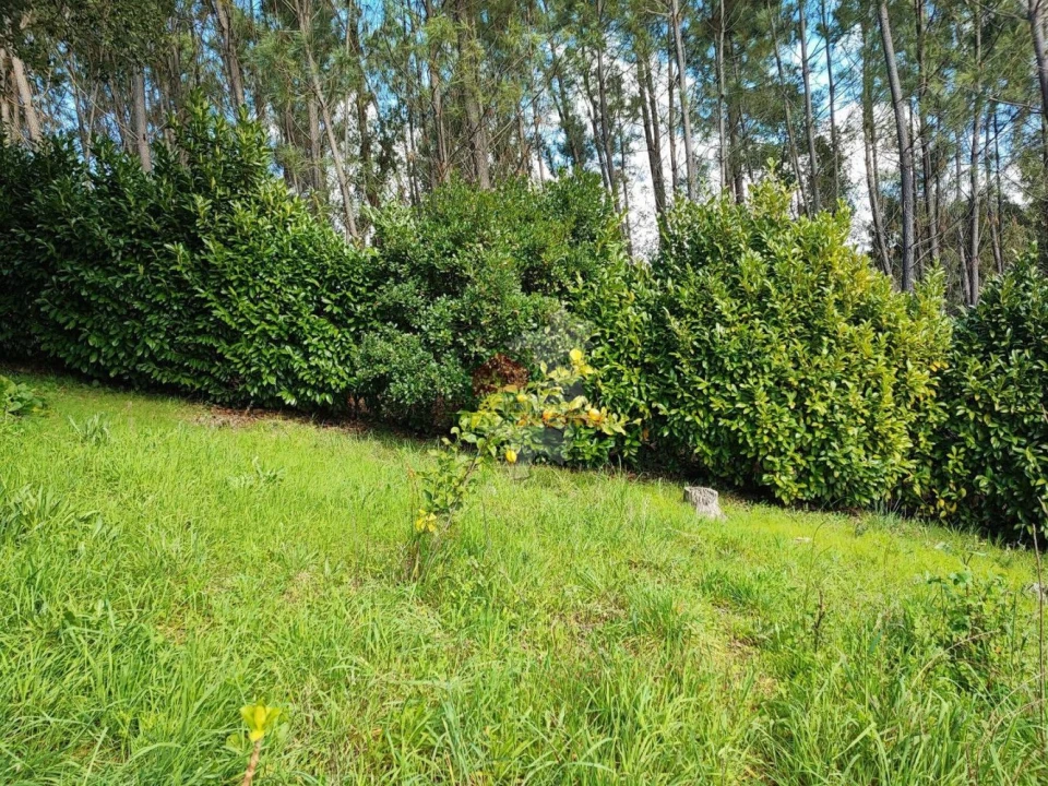 Moradia T4 para Venda em Sertã Foto 52