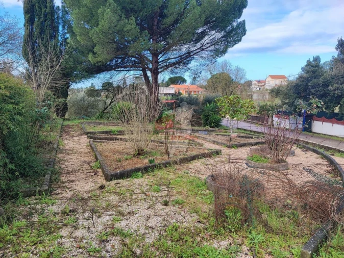 Moradia T3 para Venda em Casais e Alviobeira Foto 35